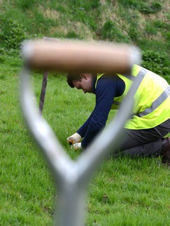 Plug planting wildflowers