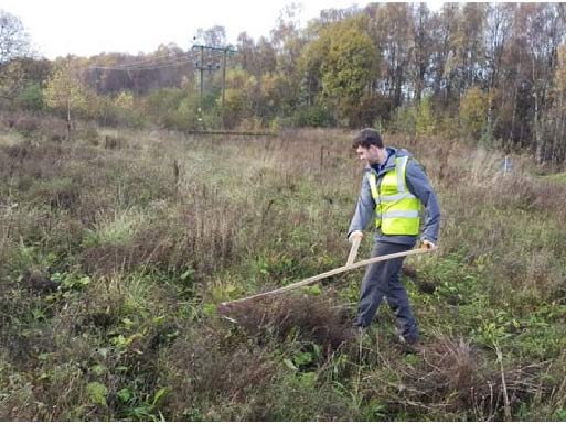 Scything a meadow